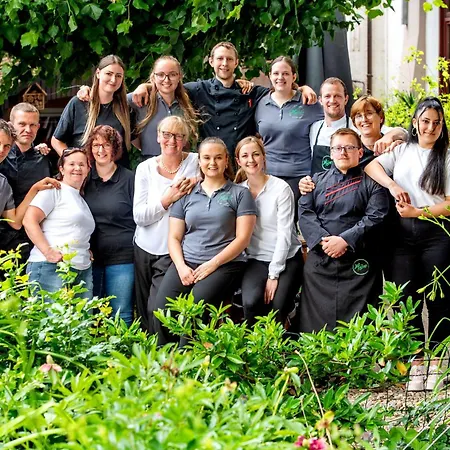 Hotell Gasthof Zur Krone Bad König
